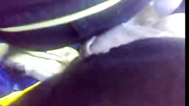 Πορνό χωρίς εγγραφή  Αφεντικό γλείφει το μουνί νεαρή γραμματέας και την γαμάει στο αγριο σεξ πορνο γραφείο του